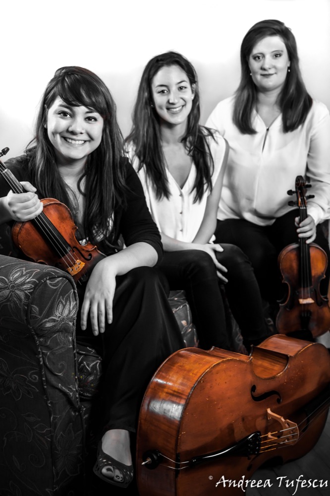 Onyx String Trio 3