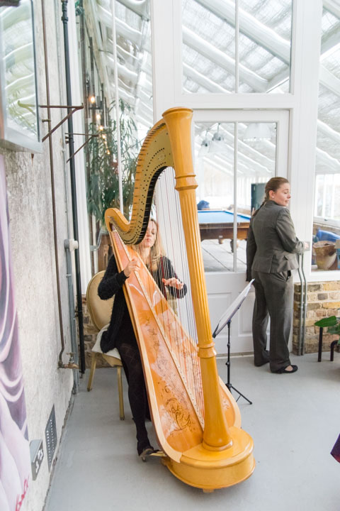 Siobhan Harpist Wedding London3